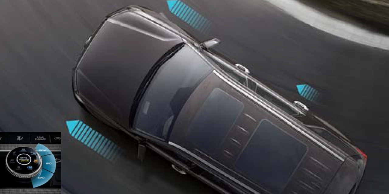 palisade potencia2