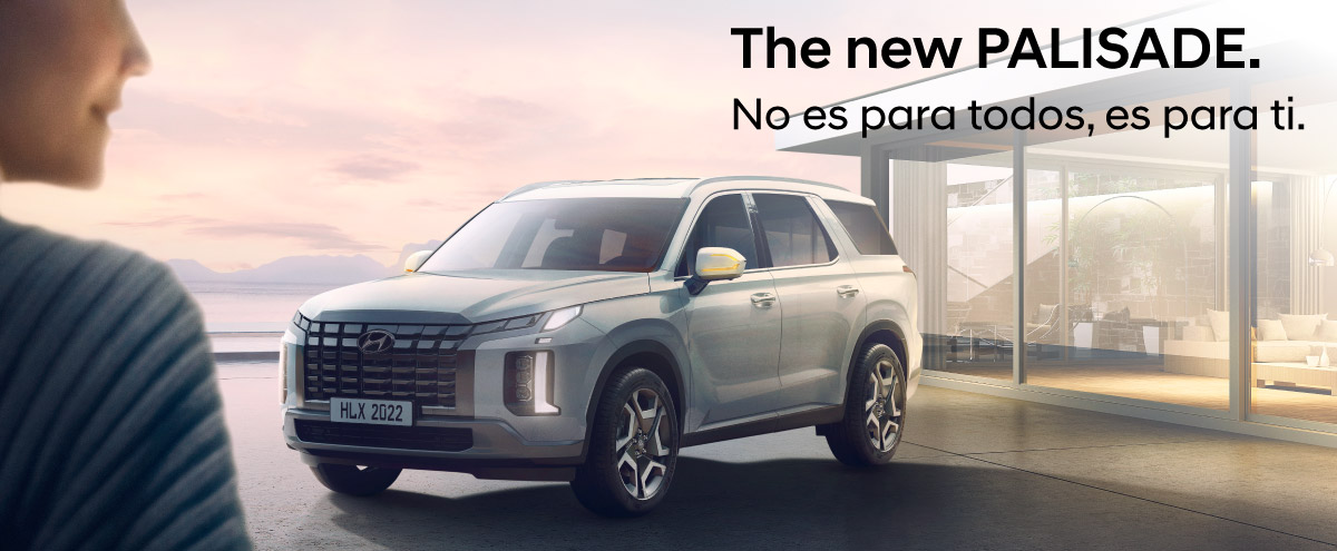 new promo palisade