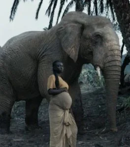 elephan - Esperando a la Generation One