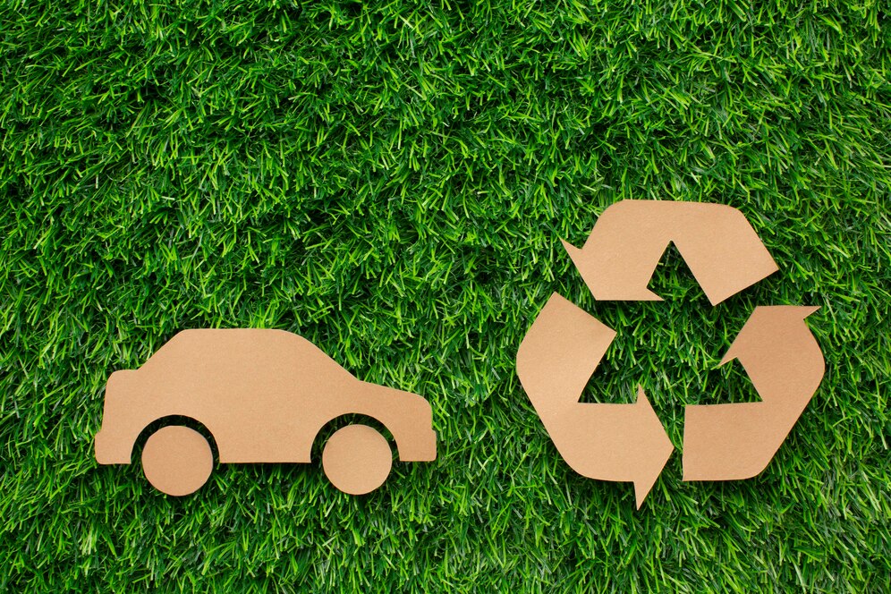 sostenibilidad carro ecológico