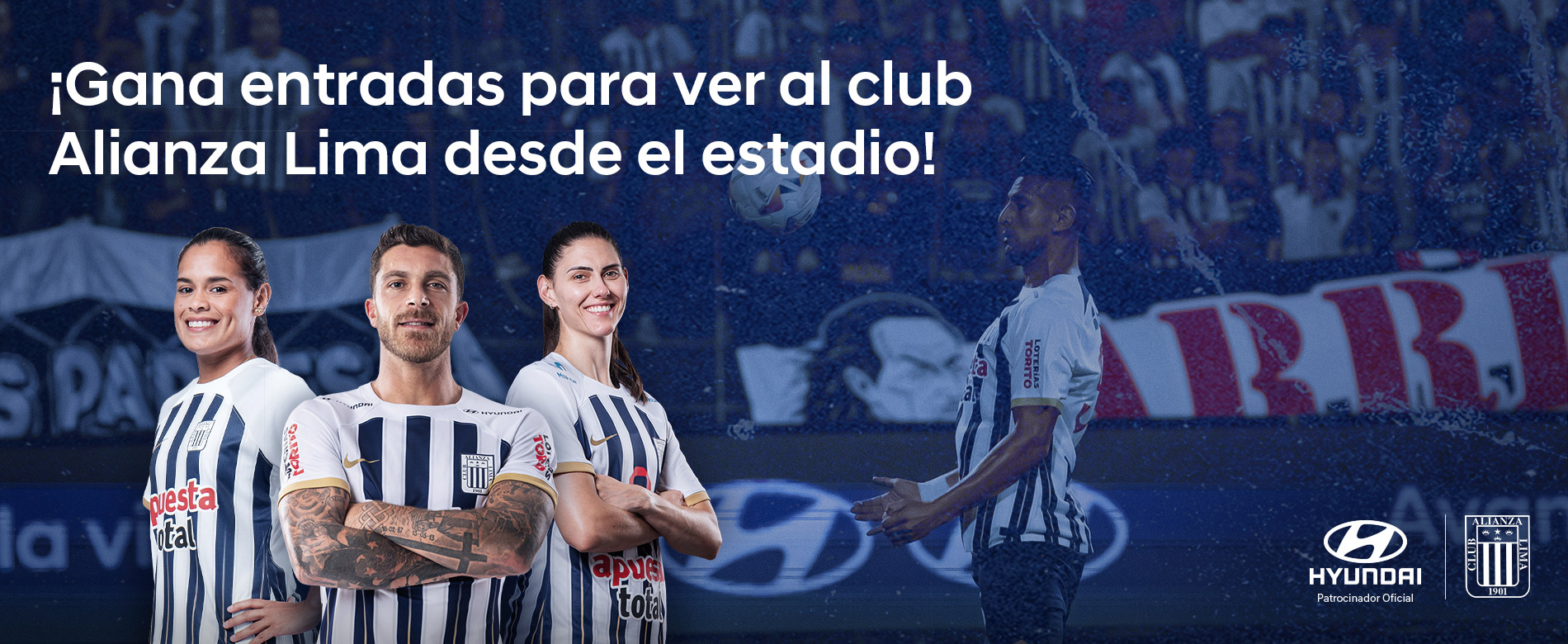 FotoAlianzaHyundai - Venta